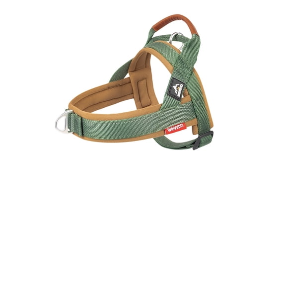 Dog Harness and Leash Set, Reflective Nylon, No Pull, Adjustable, for Medium Large Dogs, Outdoor Walking, Training - New Upgrade, Comfortable, Durable, Green, Size XL