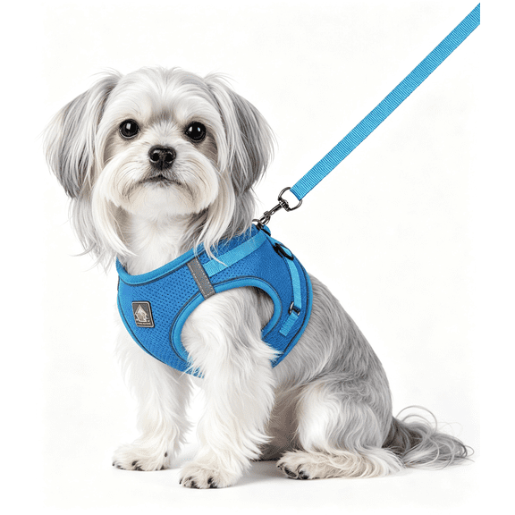Dog Harness with Leash Set, Step-in Adjustable Puppy Pet Vest, Lightweight Breathable Air Mesh, Night Safety Reflective, For Small Medium Large Dogs, Cats