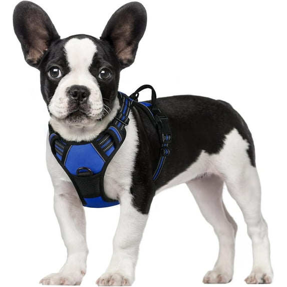 Dog Harness, No-Pull Pet Harness with 2 Leash Clips, Adjustable Soft Padded Dog Vest, Reflective No-Choke Pet Oxford Vest with Easy Control Handle for Large Dogs