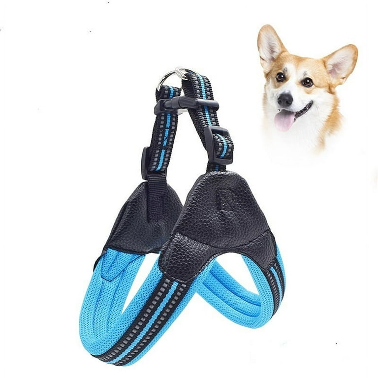 Chew resistant shop dog harness