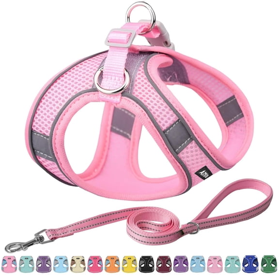 Dog Harness No-pull Cat With A Leash Adjustable Reflective Vest Escape Proof Outdoor Walking Running For Extra Small Dogs And House Cats Pure Pink Xxxs