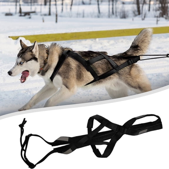 Dog Harness No Pull with 2 Leash Clips, Adjustable Soft Padded, Reflective Oxford No Choke Pet Vest with Easy Control Handle for Large Dogs, Black, XL