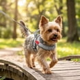 thumbnail image 1 of Dog Harness No Pull, TOUMENY Breathable Adjustable Soft Mesh Dog Vest Harness, Reflective Outdoor Walking Chest Strap for Small Medium Dogs Training, Gray, 1 of 6