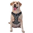 thumbnail image 1 of Dog Harness, Purple Flower No-Pull Pet Dog Harness with Leash Set for Large Medium Small Size Dog, Adjustable Reflective No Choke Dog Cat Vest for Walks Training, 1 of 6