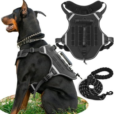 Dog Harness for Small Dogs with Retractable dog leash,Adjustable Reflective Oxford Easy Control No Pull Dog Harness with A Heavy Duty 5ft Dog Leash,S (Neck: 16.5"-22", Chest: 19.6"-29.1"),Black