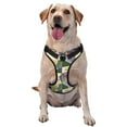 Dog Harness for Small to Large Dogs Labrador Retriever Dog Green