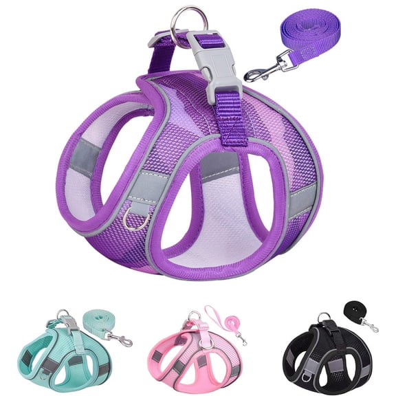 Dog Harness for Small Medium Dogs No Pull, Cat Harness and Leash Set, Puppy Harness for Small Dogs, Step in Harness for Small Dogs, Small Dog Harness, mesh Dog Harness (Purple, M)