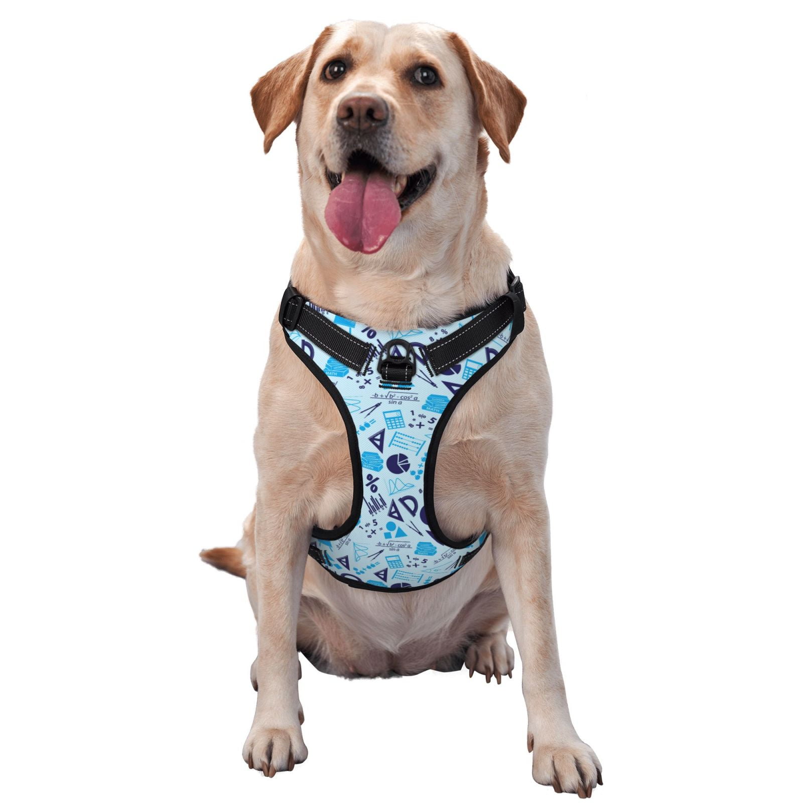 Dog Harness Small Medium Large Sized Dog - Math Print ruler blue ...