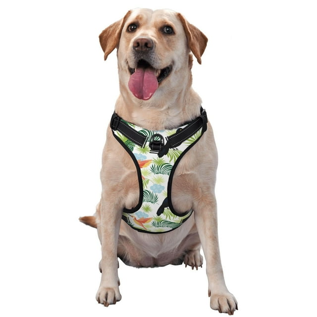 Dog Harness Small Medium Large Sized Dog - Toucan and Hummingbird Breathable Easy Walk No Pull Dog Harness, Adjustable Reflective Pet Dog Vest for Training, Walking, Hiking