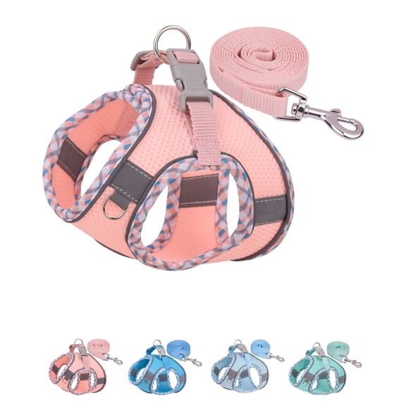 Dog Harness for Small Medium Sized Dogs No Pull, Puppy Harness and Leash Set, Step in Dog Harness for Walking, Running, Training, Small Dog Vest (Pink, XXS)