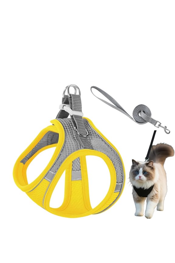 Dog Harness Small Sized and Leash Set, Step-in Breathable Pet Harness, Soft Walking Puppy Vest for Small Dogs, M