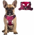 thumbnail image 1 of Dog Harness Step in Dog Vest Harness, Reflective Adjustable Puppy No Pull Harness Breathable Soft for Small and Medium Dogs Cats,Pink/Black, S, 1 of 10