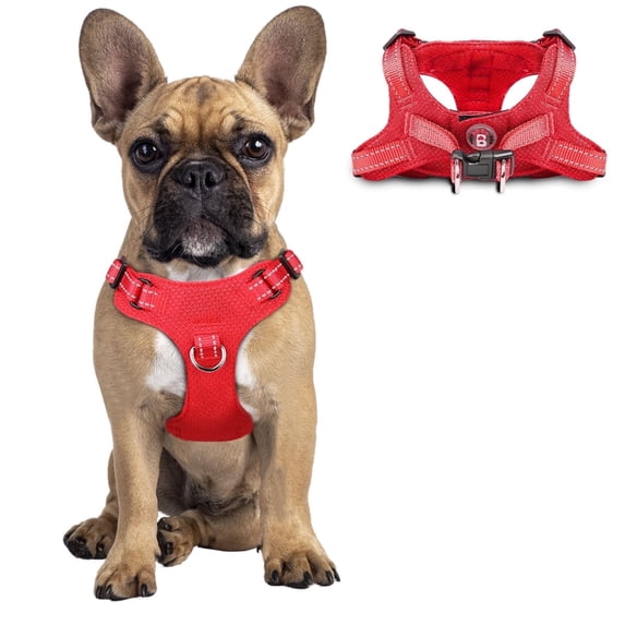 Dog Harness Step in Dog Vest Harness, Reflective Adjustable Puppy No Pull Harness Breathable Soft for Small and Medium Dogs Cats,Red, S