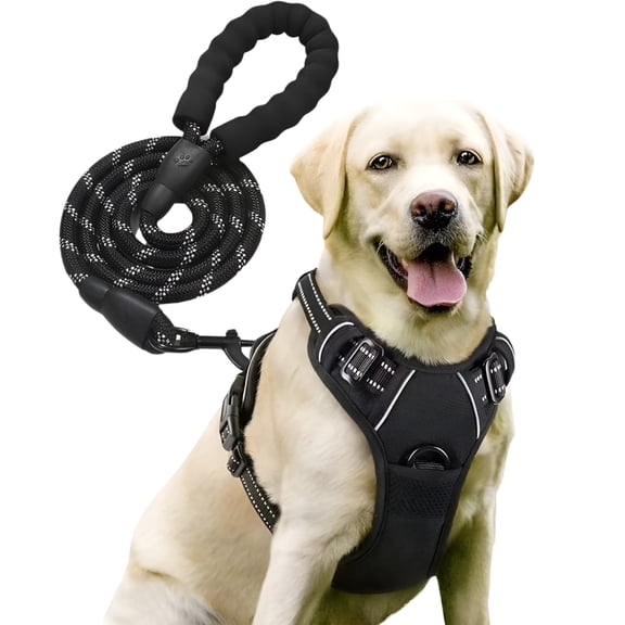 Dog Harness and Leash Set, Adjustable No Pull Vest with Reflective Straps for Walking and Training, M