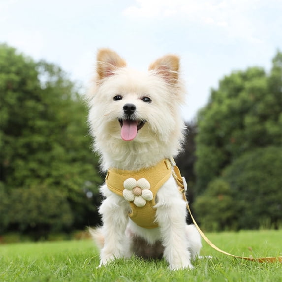 Dog Harness and Leash Set Escape Proof No Pull Adjustable Padded Soft Mesh Vest with 3D Flower for Small Medium Dogs