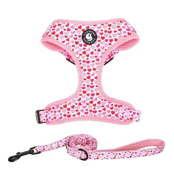 Dog Harness and Leash Set No Pull No Choke Puppy Harnesses for Walking Training for Pet (Little Love, S(Chest 14-19.6", Neck 10.6-13"))