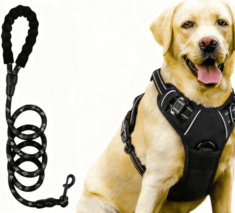Dog Harness and Leash Set, No Pull Vest Harness, Reflective Adjustable Soft Padded Pet Harness with Handle for Small to Large Dogs
