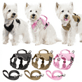 thumbnail image 1 of Dog Harness and Leash Set, Reflective Adjustable Puppy Vest for Small Medium Dogs, Cats,  No-Pull Design, 1 of 9