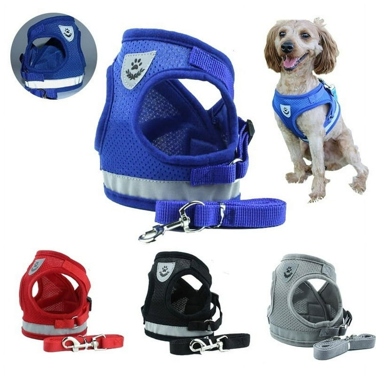 Velcro hotsell dog vest