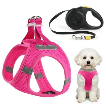 Charkool Puppy Harness, Dog Harness with Retractable Dog Leash, All Weather Mesh, Reflective, Breathable