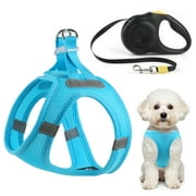 Dog Harness for Small Dogs No Pull, Puppy Harness and Leash Set, Retractable Dog Leash, Easy Walk Dog Harness for Walking, Reflective