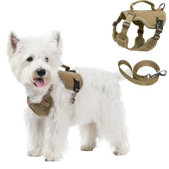 Dog Harness for Small Dogs No Pull, Puppy Harness and Leash Set, Step in Dog Harness for Walking, Running, Training, Small Dog Vest