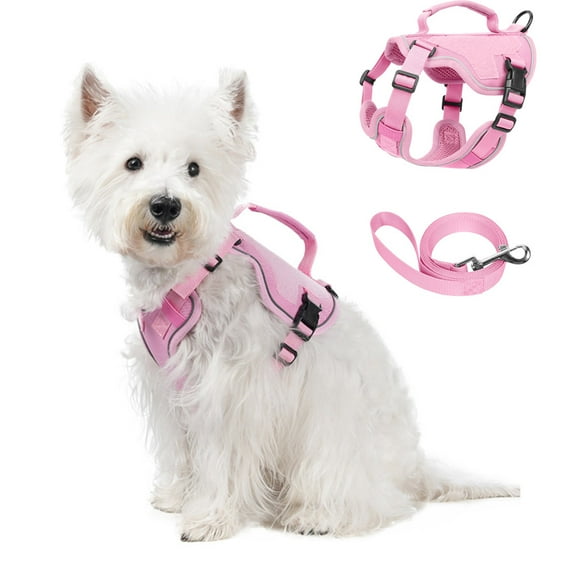 Dog Harness for Small Dogs No Pull, Puppy Harness and Leash Set, Step in Dog Harness for Walking, Running, Training, Small Dog Vest