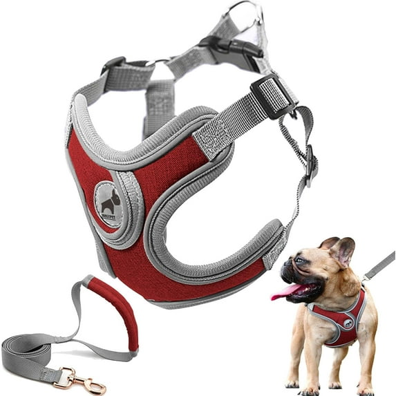 Dog Harness with Leash, Soft Adjustable Step in Reflective Strips Collars Harness Vest for Small Medium Dogs Training and Running(M, Red)