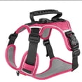 thumbnail image 1 of Dog Harness with Leash and GPS Pocket, Adjustable Chest Vest for Small and Medium Dogs, Hands Free Walking Harness, Durable Outdoor Pet Harness, 1 of 3
