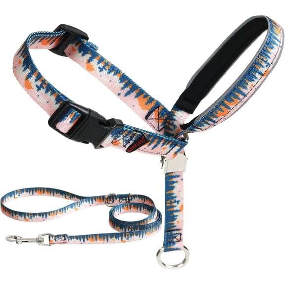 Dog Head Collar, Anti-Pulling Printed Halter with Leash, ntle Snout Harness Adjustable Clip for Small Medium, and Lar Dogs Leash Training