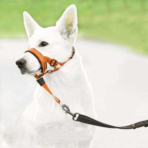 Dog Head Collar No Pull Head Halter With Soft Padding Anti-Pull Muzzle Leash For Breed Nose Leash Collar For Easy Control On Walks(Orange L)