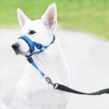 Dog Head Collar, No Pull Dog Halter with Soft Padding, Reflective Training Tool for Medium Large Dogs, Labrador, Stops Heavy Pulling and Easy Control on Walks