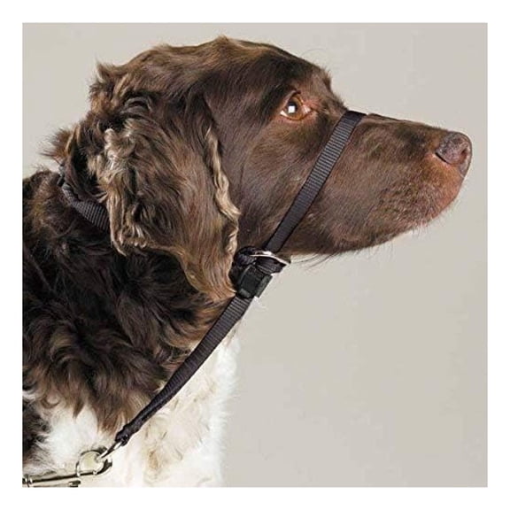 Dog Head Collars - Training Stop Pulling Lunging Unwanted Behavior(Medium - 25 to 60 lbs)