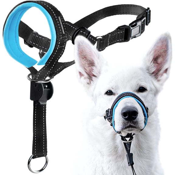 Dog Head Halter with Safety Strap - Stops Heavy Pulling On The Leash - Padded Headcollar for Small Medium and Large Dog Sizes - Head Collar Training Guide Included (Size 4, Blue)