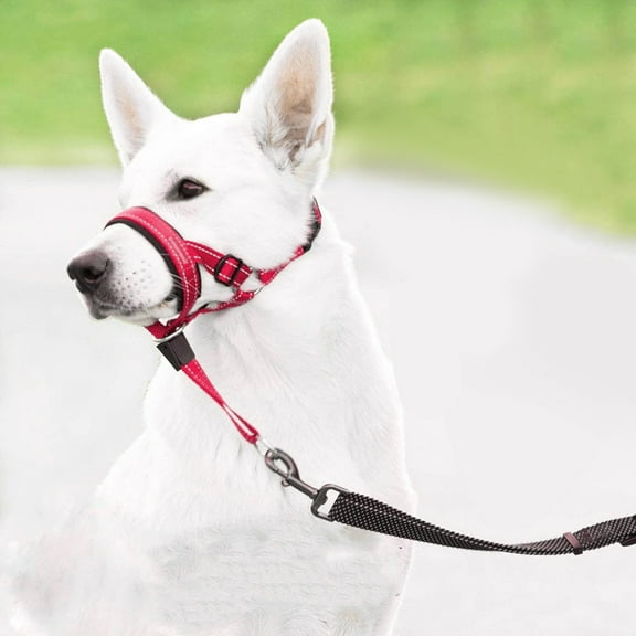Dog Head Halter with Safety Strap - Stops Heavy Pulling On The Leash - Padded Headcollar for Small Medium and Large Dog Sizes - Head Collar Training Guide Included