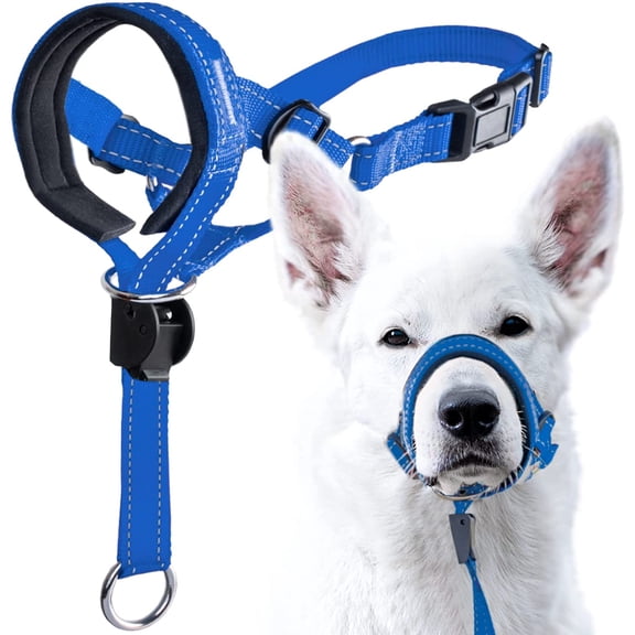 Dog Head Halter with Safety Strap - Stops Heavy Pulling On The Leash Padded Headcollar for Small Medium and Large Sizes Collar Training Guide Included (Size 3, Blue Nylon)