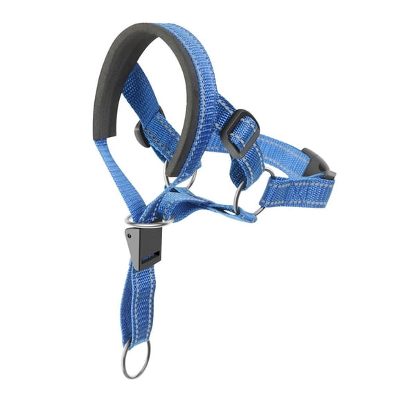 Dog Head Halter with Safety Strap - Stops Heavy Pulling On The Leash - Padded Headcollar for Small Medium Dog Sizes (M, Blue)