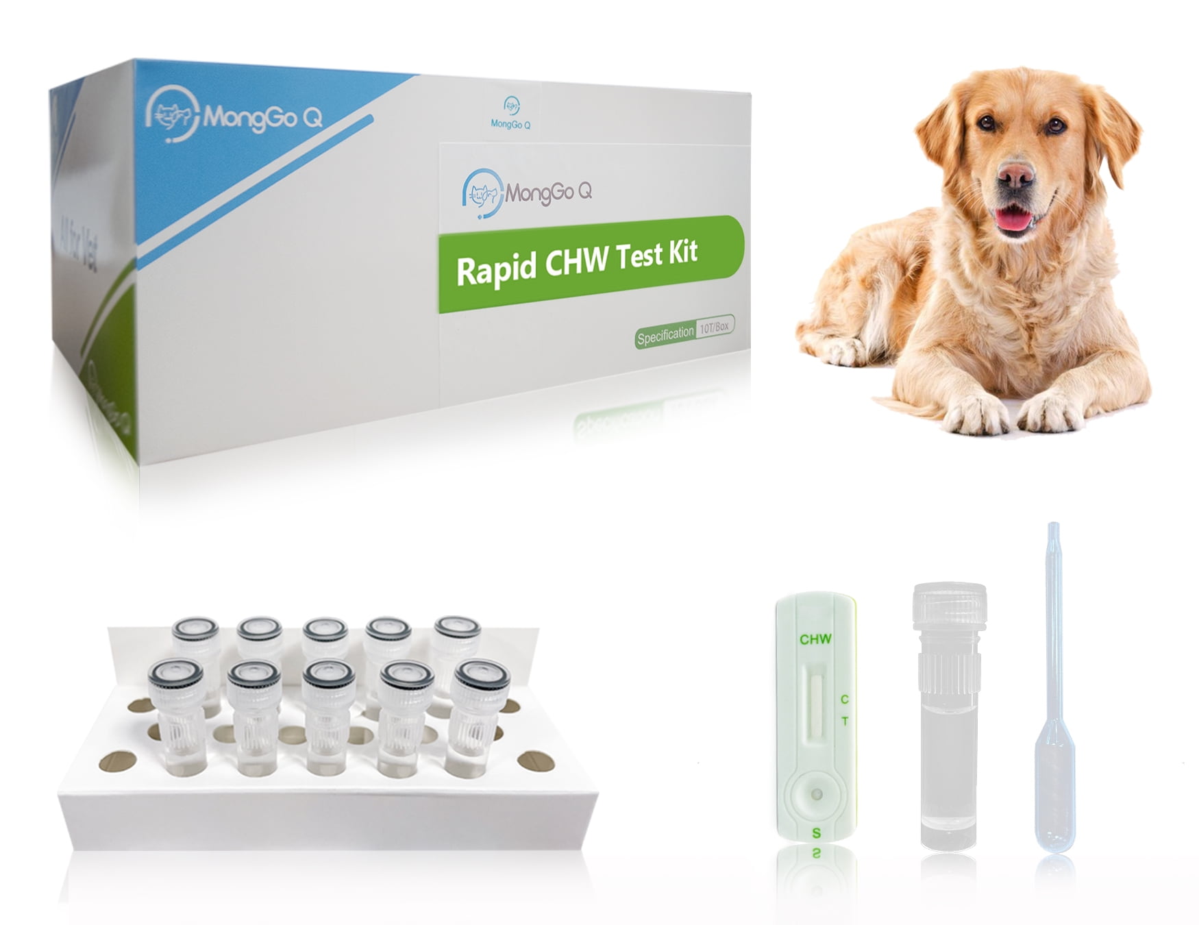 Dog Heartworm Test kit 10 Pcs Canine CHW Auxiliary Diagnostic Health