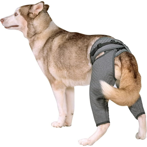 Dog Hind Leg Recovery Sleeve, Adjustable Dog Recovery Suit with Buckle as Cone Collar Alternative, Thick Rear Leg Recovery Lick Sleeve to Prevent Licking Wound for Dogs, L