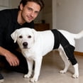thumbnail image 1 of Knee Brace for Dogs Back Leg, Dog Hip Support Brace, Adjustable Straps, Knee Brace for Dogs, Compression Support, Canine Hind Joint Care, Weekend Hiking, Black, 1 Pc, 1 of 7