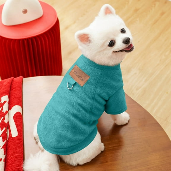 Dog Hoodie, Fashion Graphic Print Pet Sweatshirt for Small Medium Dogs, Cute Casual Apparel for Daily Walk & Outdoor Adventure Cyan M