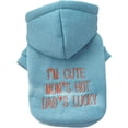 thumbnail image 1 of Dog Hoodies Puppy Clothes Sweatshirt Dog Winter Clothes Print Letter Sweatshirt Pet Hooded Dog Coat Cat Jackets Dog Clothes for Small Dogs Boy Girl Dog Clothes for Small Medium Dogs Apparel Red S, 1 of 13