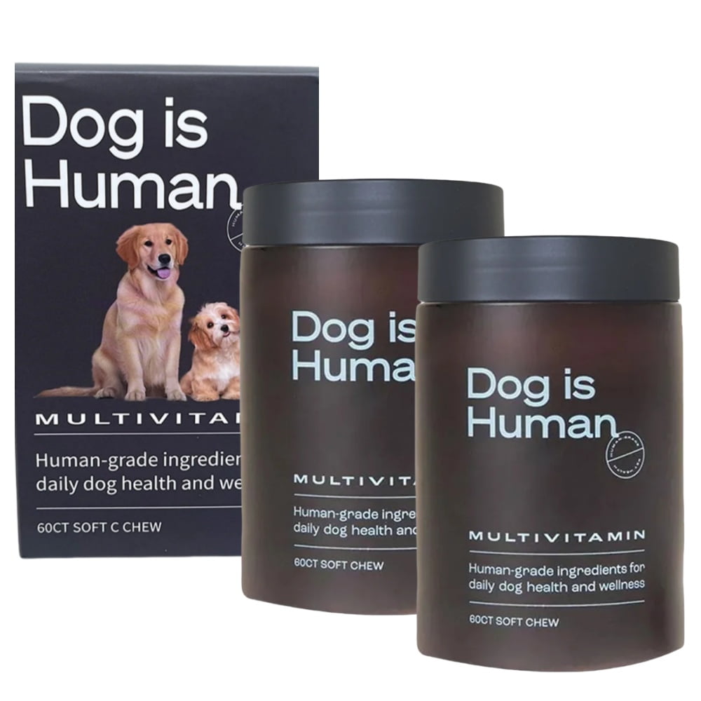 Immune Health Basics My Dog Ate A Multivitamin Pill At Eden Disney