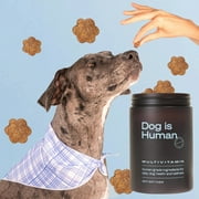 Dog Is Human Daily Wellness Dog Treats, Beef Flavor, Soft Chews for Puppies to Seniors, Immune + Joint + Skin Support, Healthy Snack for All Breeds, 60 Count