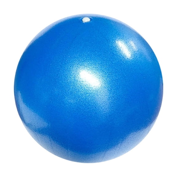 Dog Inflatable Interactive Inflatable Bladder for Dogs Encouraging Exercise and Outdoor Game Fun Bouncy Toy