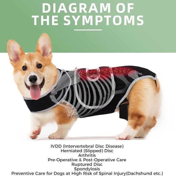 Dog Intervertebral Disc Injury Support Vest, Pet Dog Back Fracture Pain Protection Belt, Strong Support Intervertebral Disc Dog Brace for Intervertebral Disc, Black, Size:S