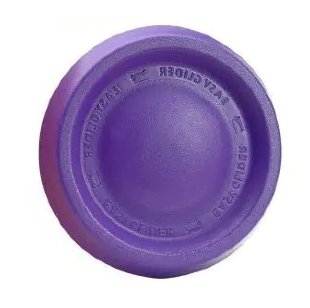Dog Jump Catch and Fetch Toys Floating Interactive Foam Flyer Glider Disc FUN! (9 inch Purple)