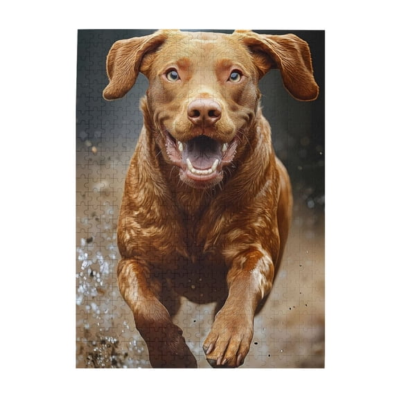 Dog Jump Mud Water Splash Fun 500-Piece Wooden Jigsaw Puzzle for Adults, Fun & Challenging Family Game, Stylish Wall Decor & Holiday Gift