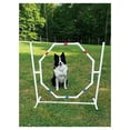 thumbnail image 1 of Dog Jump - Practice Tire/Hoop Jump - PVC Material - 29 Inch Diameter, 1 of 2