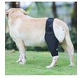 Dog Knee Brace for 4 legs, Knee Cap Dislocation, Pet Knee Brace, Leg
